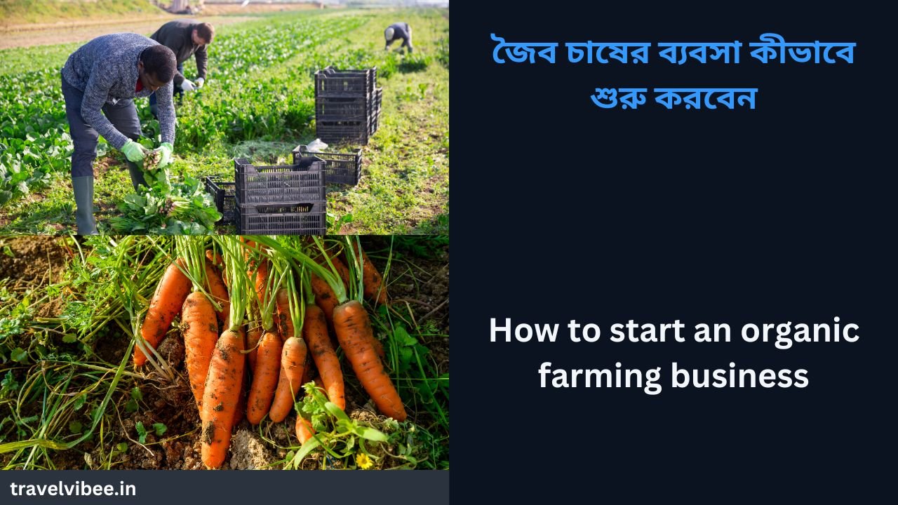 How to start an organic farming business