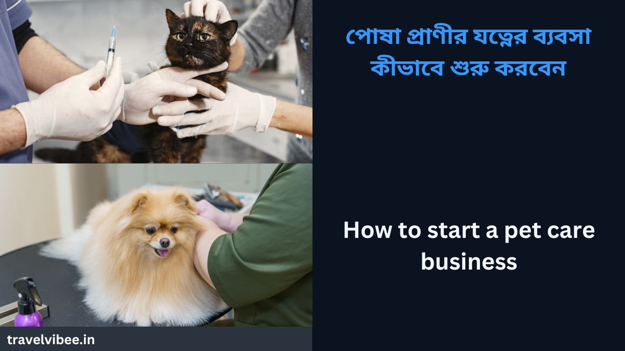 How to start a pet care business